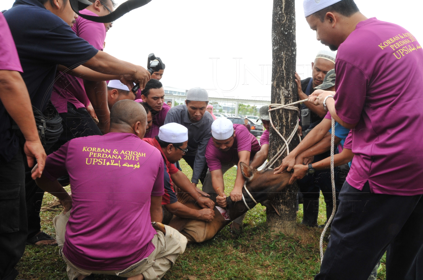 PRO15 150 KORBAN HAS 6787